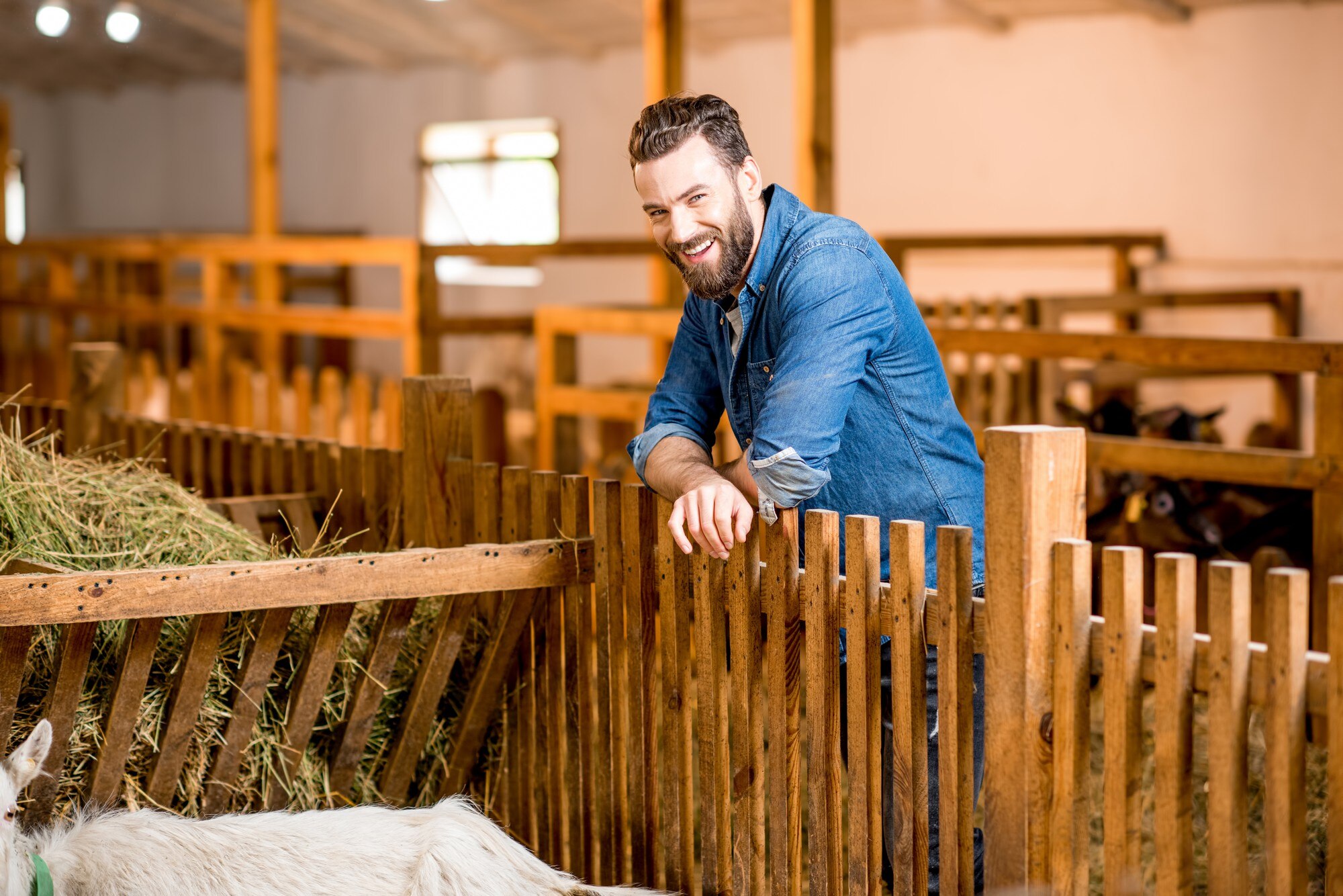 farmer standing barn with goats natural milk production farming concept 506452 4991